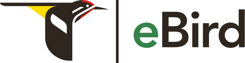 ebird logo